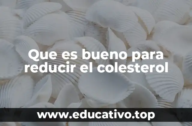 Cómo la dieta y el estilo de vida influyen en el control del colesterol