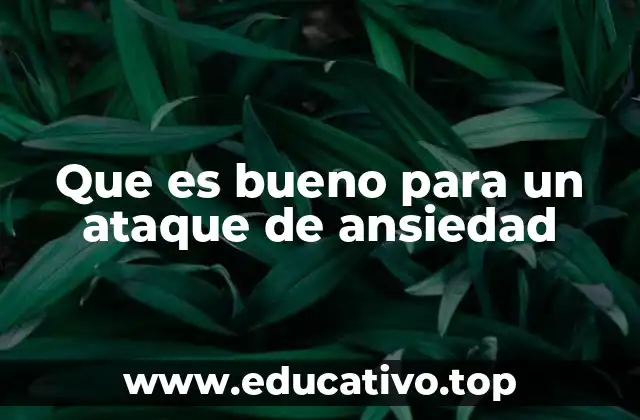 Que es bueno para un ataque de ansiedad