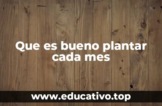 Que es bueno plantar cada mes