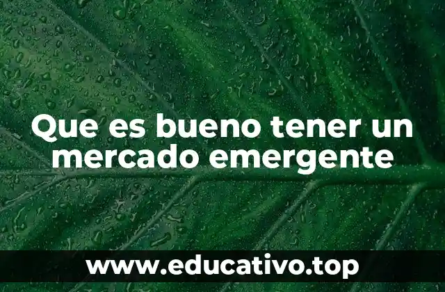 El potencial de crecimiento en economías en auge