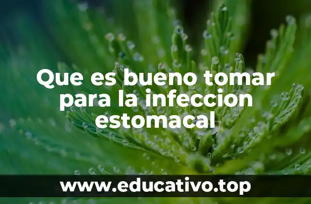 Que es bueno tomar para la infeccion estomacal