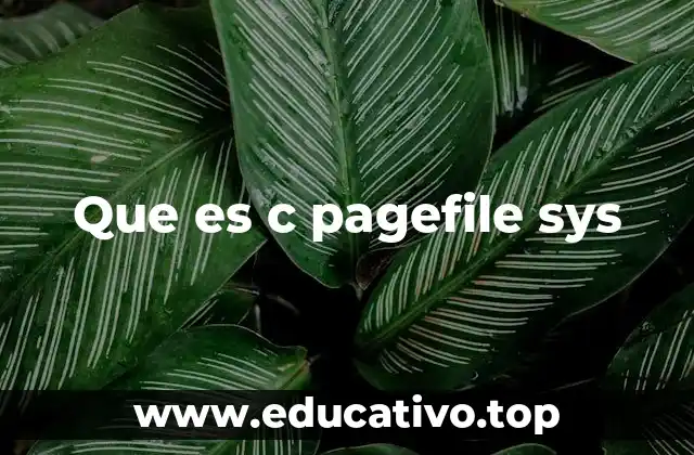 Que es c pagefile sys