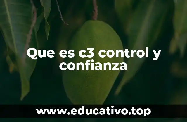 Que es c3 control y confianza