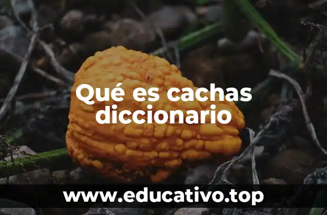 Qué es cachas diccionario