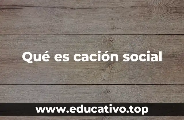 Qué es cación social