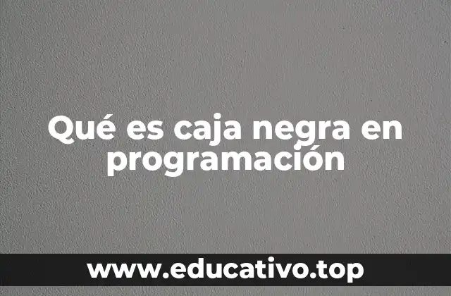 Qué es caja negra en programación
