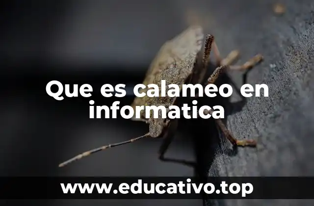 Que es calameo en informatica
