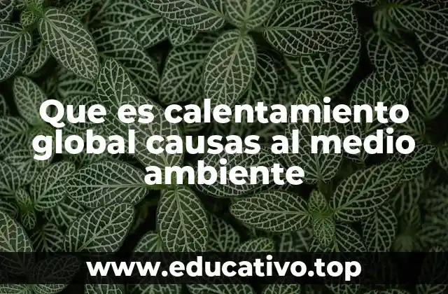 Que es calentamiento global causas al medio ambiente