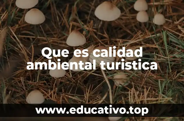Que es calidad ambiental turistica