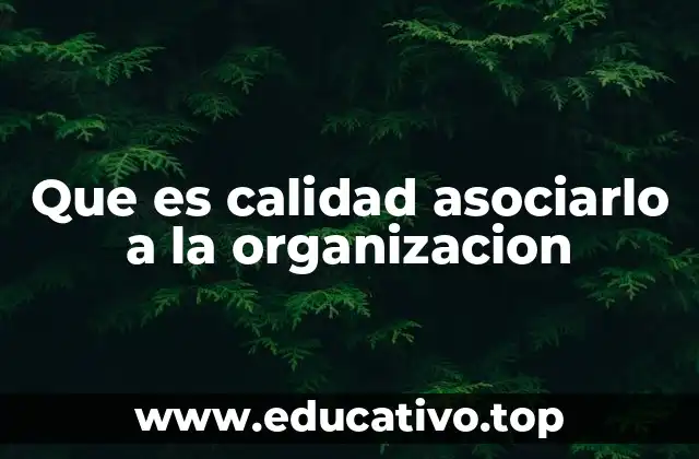 Que es calidad asociarlo a la organizacion