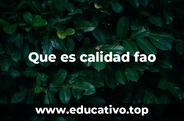Que es calidad fao