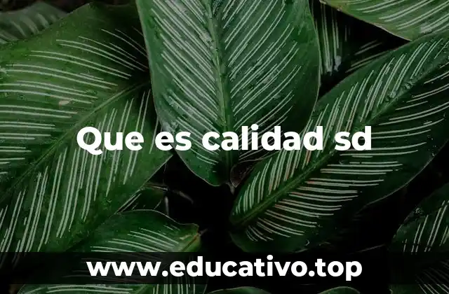 Que es calidad sd