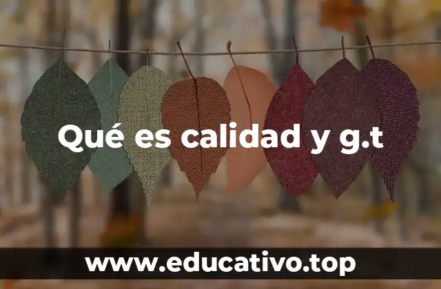 Qué es calidad y g.t