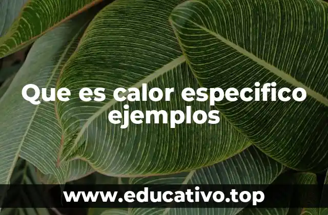 El calor específico y su importancia en la física