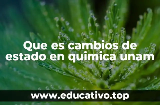 Que es cambios de estado en quimica unam
