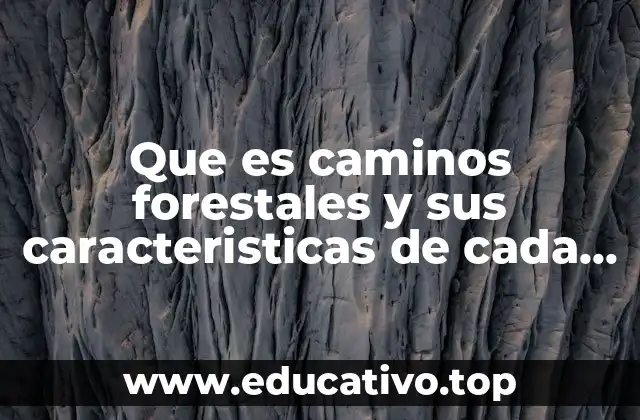 Que es caminos forestales y sus caracteristicas de cada cuno