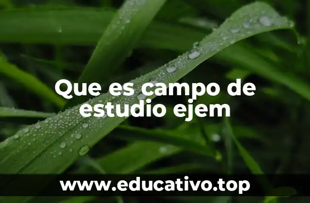Que es campo de estudio ejem
