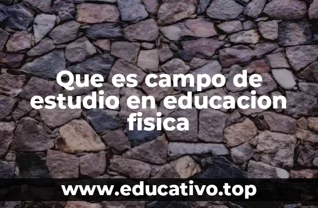 La importancia de los campos de estudio en Educación Física