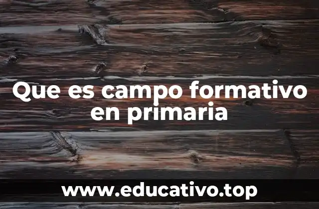 Que es campo formativo en primaria