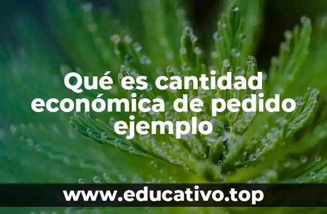 Qué es cantidad económica de pedido ejemplo