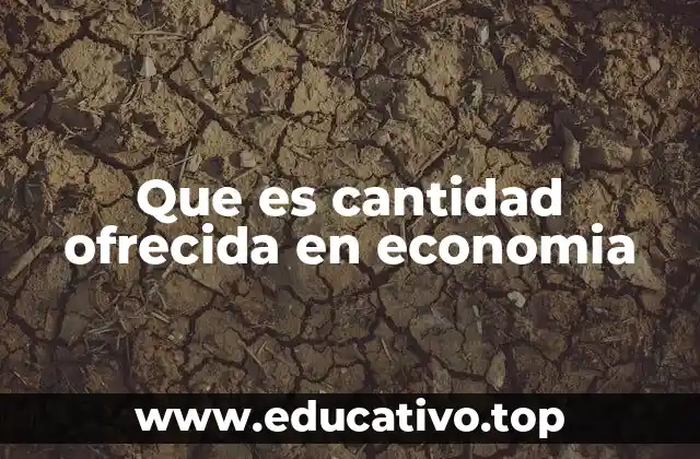 Que es cantidad ofrecida en economia