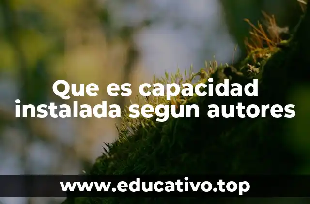 Que es capacidad instalada segun autores