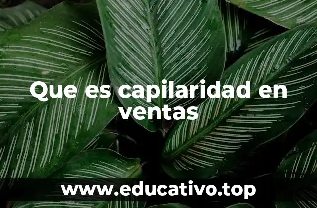 Que es capilaridad en ventas