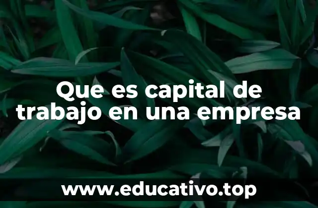 Que es capital de trabajo en una empresa