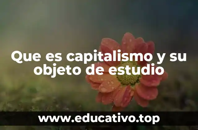 El capitalismo como motor de la economía moderna