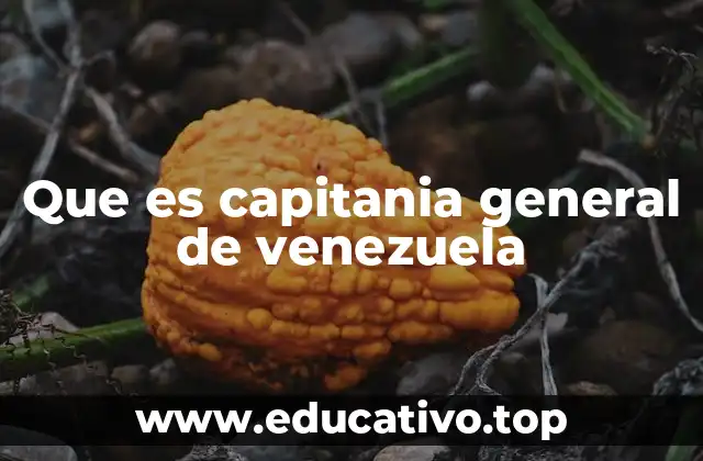 Que es capitania general de venezuela