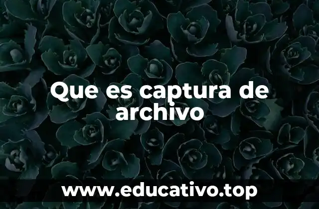 Que es captura de archivo