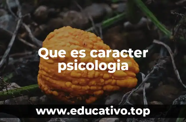 Que es caracter psicologia