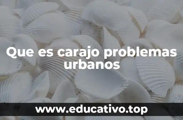 Que es carajo problemas urbanos