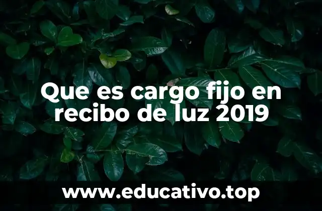 Que es cargo fijo en recibo de luz 2019