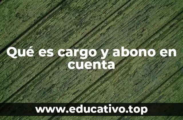 La importancia de registrar movimientos financieros con cargo y abono