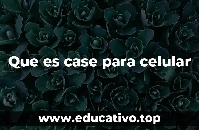 Que es case para celular