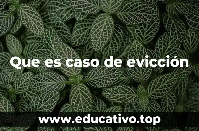 Que es caso de evicción