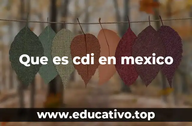 Que es cdi en mexico