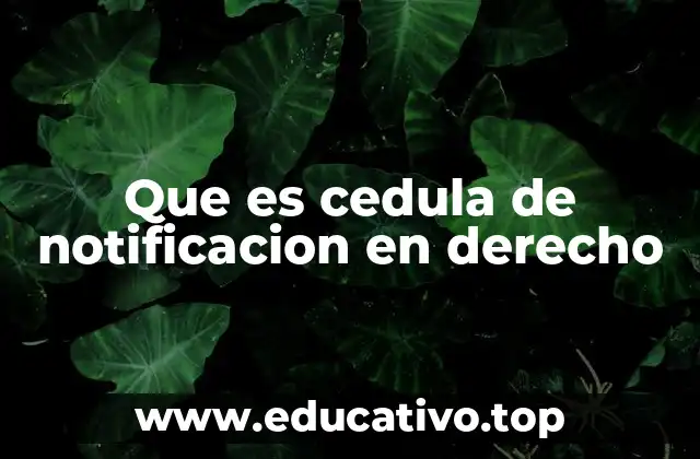 Que es cedula de notificacion en derecho