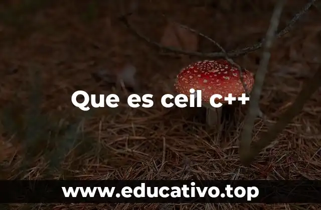 Que es ceil c++
