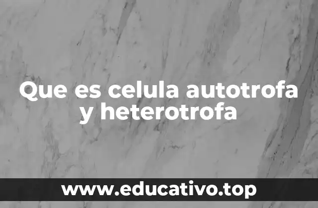 Que es celula autotrofa y heterotrofa