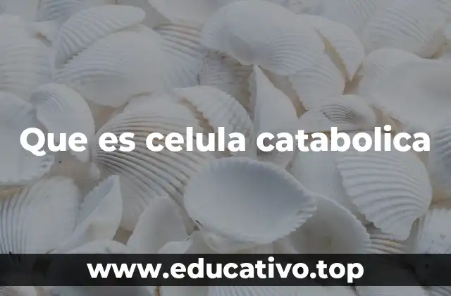 Que es celula catabolica