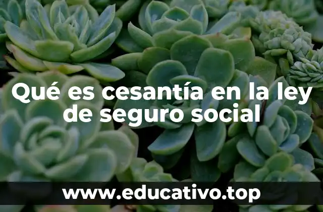 Qué es cesantía en la ley de seguro social