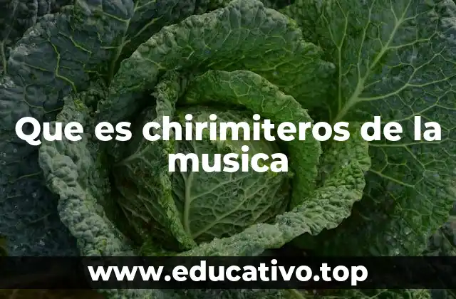 Que es chirimiteros de la musica