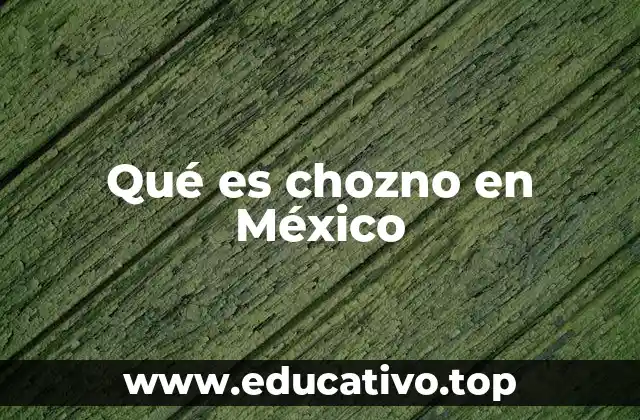 El chozno como reflejo de la cultura urbana mexicana