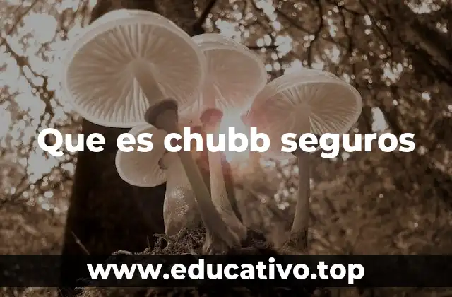 Que es chubb seguros