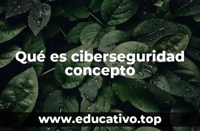 Qué es ciberseguridad concepto