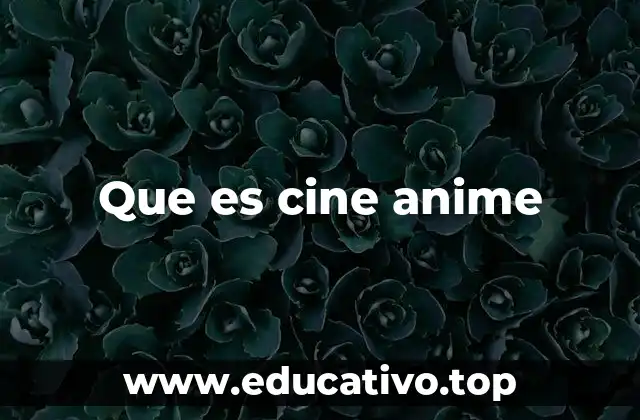 Que es cine anime