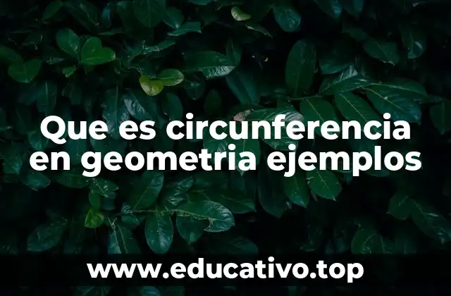 Que es circunferencia en geometria ejemplos
