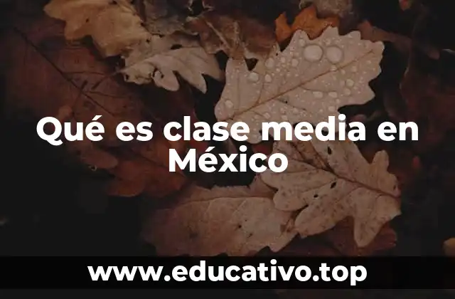 Qué es clase media en México